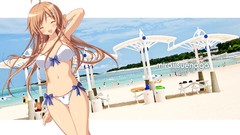 Blush long hair anime girls brown eyes closed eyes brunettes 