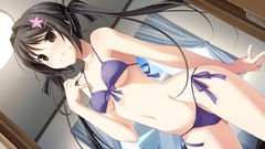 Blush long hair game cg swimsuits Mikoto Akemi (Illustrator) 