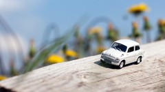Board cars dandelions Wood ZAZ ukrainian depth of field toy cars