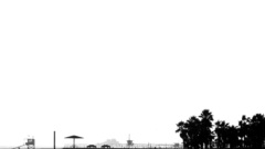 Boardwalk dominance nature beach