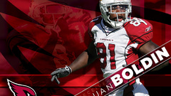 Boldin hate This Team