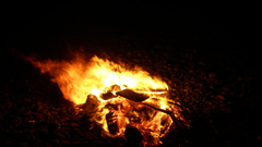 Bonfire high