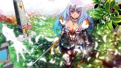 Boobs armor Queens blade