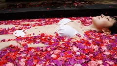 Books Japanese project hello asians lingerie models digital 