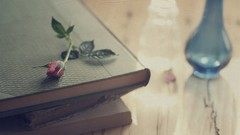 Books roses vases