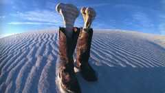 Boots deserts Bones leather