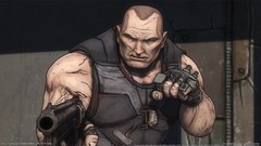 Borderlands video games Brick-Borderlands