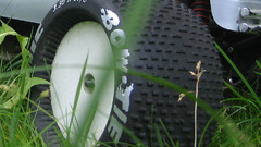 Bow tie high military