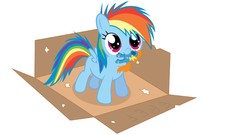 Boxes young ponies rainbow dash My Little Pony: Friendship is 