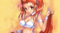 Bra Dragon Quest game