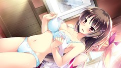 Bra game cg underwear panties ichimine touka ojousama wa 