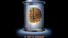 Brain Albert Einstein