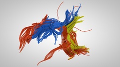 Brain neuron 3D renders