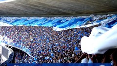 Brazil Cruzeiro Raposa