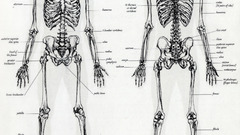 Breast high led Resolution