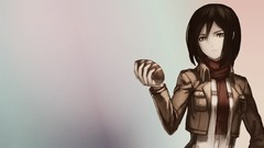 Breed black hair mikasa ackerman shingeki no kyojin upscaled