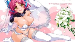 Brides Trigger Heart Exelica