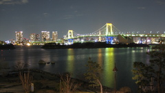 Bridge in Tokyo Other