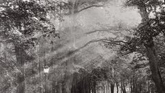 Bridge king The memorial near vogel hermann probably