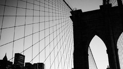 Bridges monochrome architecture buildings nets
