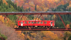 Bridges railroad tracks