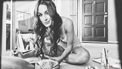 Brie Bella Twins