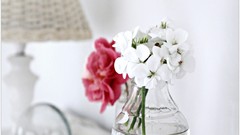 Bright design light entertainment morning crystals vase fashion