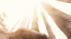 Bright Nexon Games Vindictus Mabinogi Heroes