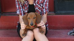 Britt robertson Dogs woman