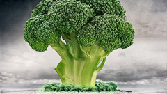 Broccoli