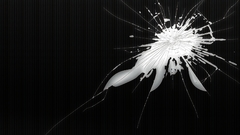 Broken LCD screens negative