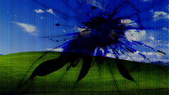 Broken LCD screens windows