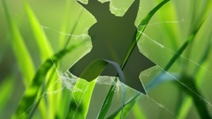 Broken screen broken glass