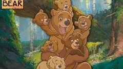Brother Bear Animals