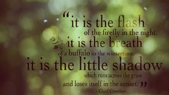 Brown poem charm Chief