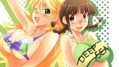 Brunettes blondes bikini ecchi