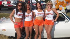 Brunettes blondes boobs woman