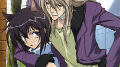 Brunettes blondes nekomimi loveless