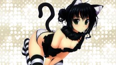 Brunettes boobs tails panties