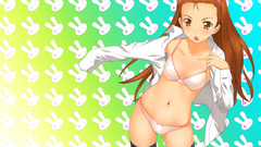 Brunettes Bunnies thigh highs