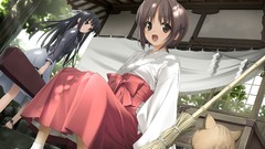 Brunettes cats long hair