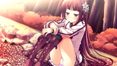Brunettes game cg Anime