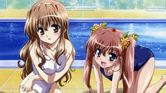 Brunettes long hair brown