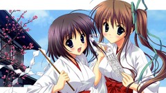 Brunettes miko katagiri yuuhi