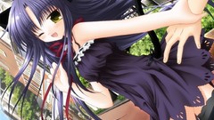 Brunettes nekomimi yellow eyes