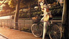 Brunettes sunset Trees uniforms