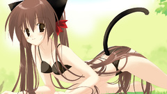 Brunettes tails panties bra