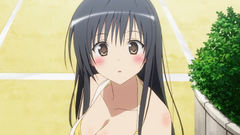 Brunettes to love ru