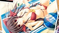 Brunettes touhou bikini brown