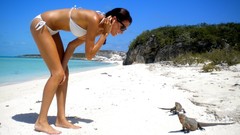 Brunettes woman bikini models